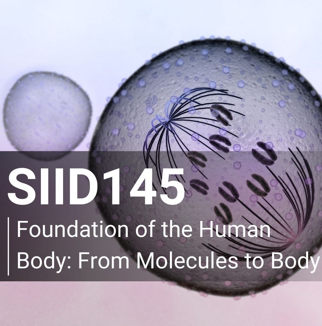 SIID145