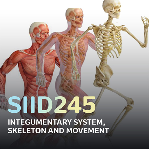 SIID245