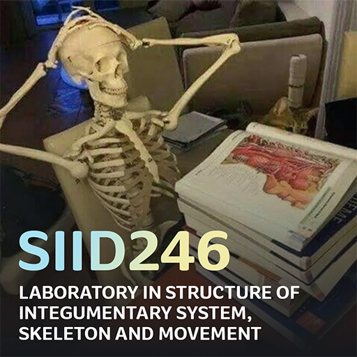 SIID246