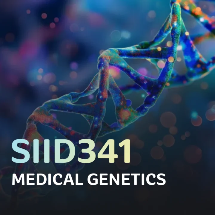 SIID341