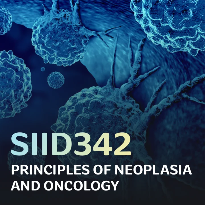 SIID342