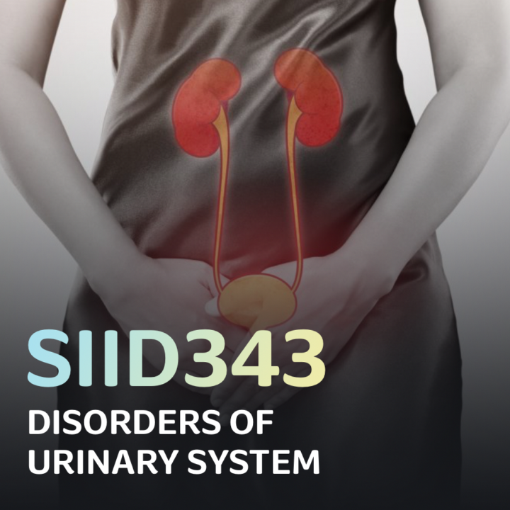SIID343